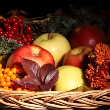 basket, composition, Flowers, Leaf, apples