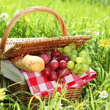 basket, grass, grapes