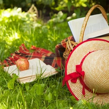 grass, Hat, basket, Apple