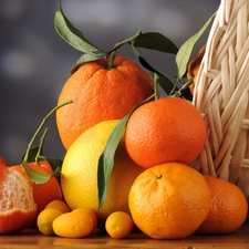 basket, orange, mandarin