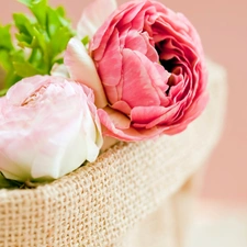 basket, color, Peonies