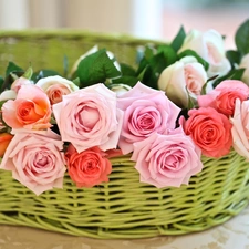 roses, basket