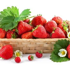 strawberries, basket