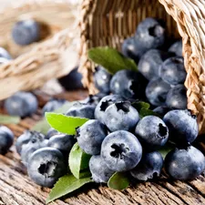 basket, blueberries, wicker