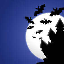 bats, Night, Castle