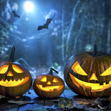 halloween, pumpkin, bats, glowing
