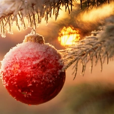 snow, christmas tree, bauble