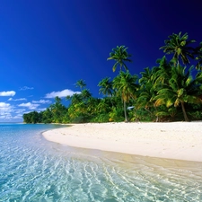 Palms, Cook Islands, Beaches