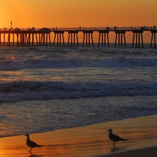 sea, gulls, Beaches, pier