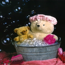 bath, Two cars, bear