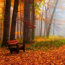 autumn, Fog, Bench, Park