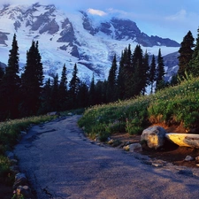 Mountains, Way, Bench, woods