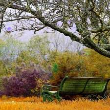 Bench, Park, trees