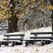 bench, winter, trees, viewes, Park