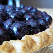 tart, Berry