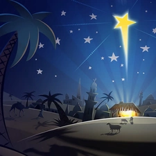 starfish, Bethlehem