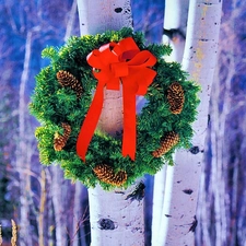 birch, wreath, Christmas