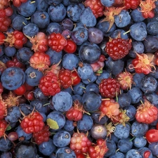 blueberries, blackberries