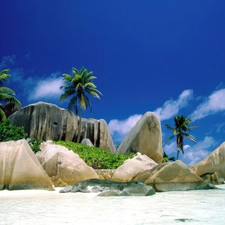 Blue, Sky, rocks, Palms, Beaches