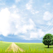 blue, Sky, Sapling, Meadow, Two cars