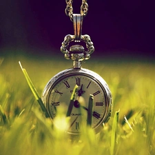 Watch, grass, blur, Retro