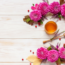 Leaf, Pink, honey, boarding, jar, dahlias