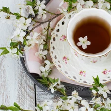 cup, tea, Twigs, boarding, Flourished, porcelain