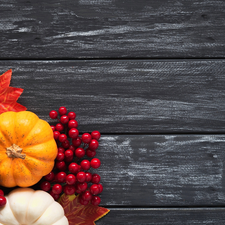 Artificial, pumpkin, Leaf, boarding, blueberries, Red