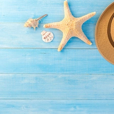 Blue, boarding, Shells, starfish, Hat