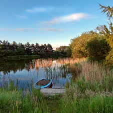 Boat, lake, rushes