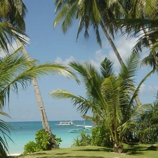 Sand, water, Boats, Palms