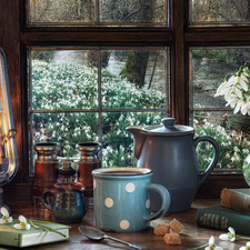 Window, snowdrops, binoculars, Cup, jug, Lamp, composition, Book