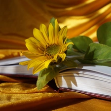 Sunflower, Book