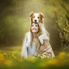 Border Collie, Women, fuzzy, background, Meadow, dog