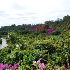Aloha State Hawaje, Garden, botanical
