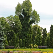 botanical, Pozna?, viewes, Garden, trees