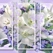 bouquet, pictures, Flowers