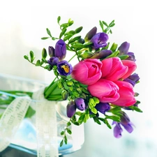 bouquet, Tulips, Freesias