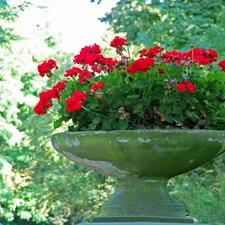 bowl, geraniums, stone