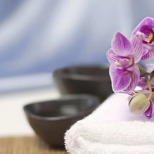 orchids, Towel, Bowls, White