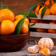 mandarin, bowl, box, leaves