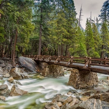 bridge, forest, River, Stones, tear