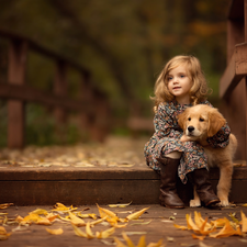 friend, Golden Retriever, Leaf, puppie, girl, bridge, autumn