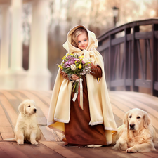 Dogs, cape, Puppy, Flowers, girl, Golden Retriever, bridge