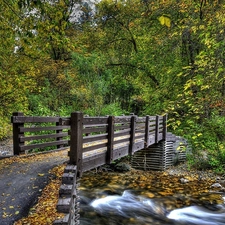 bridges, forest, brook