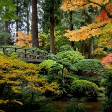 japanese, autumn, bridges, Garden