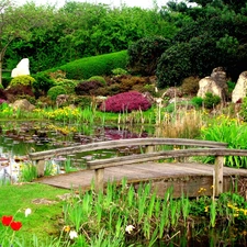 bridges, water, Flowers, green, Garden