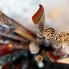 Brushes