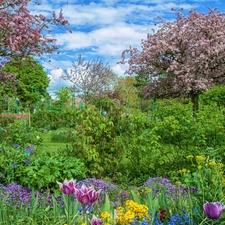 trees, Garden, Bush, Flowers, viewes, flourishing