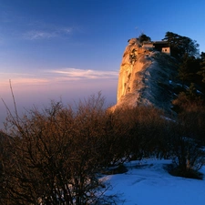 Bushes, Rocks, snow